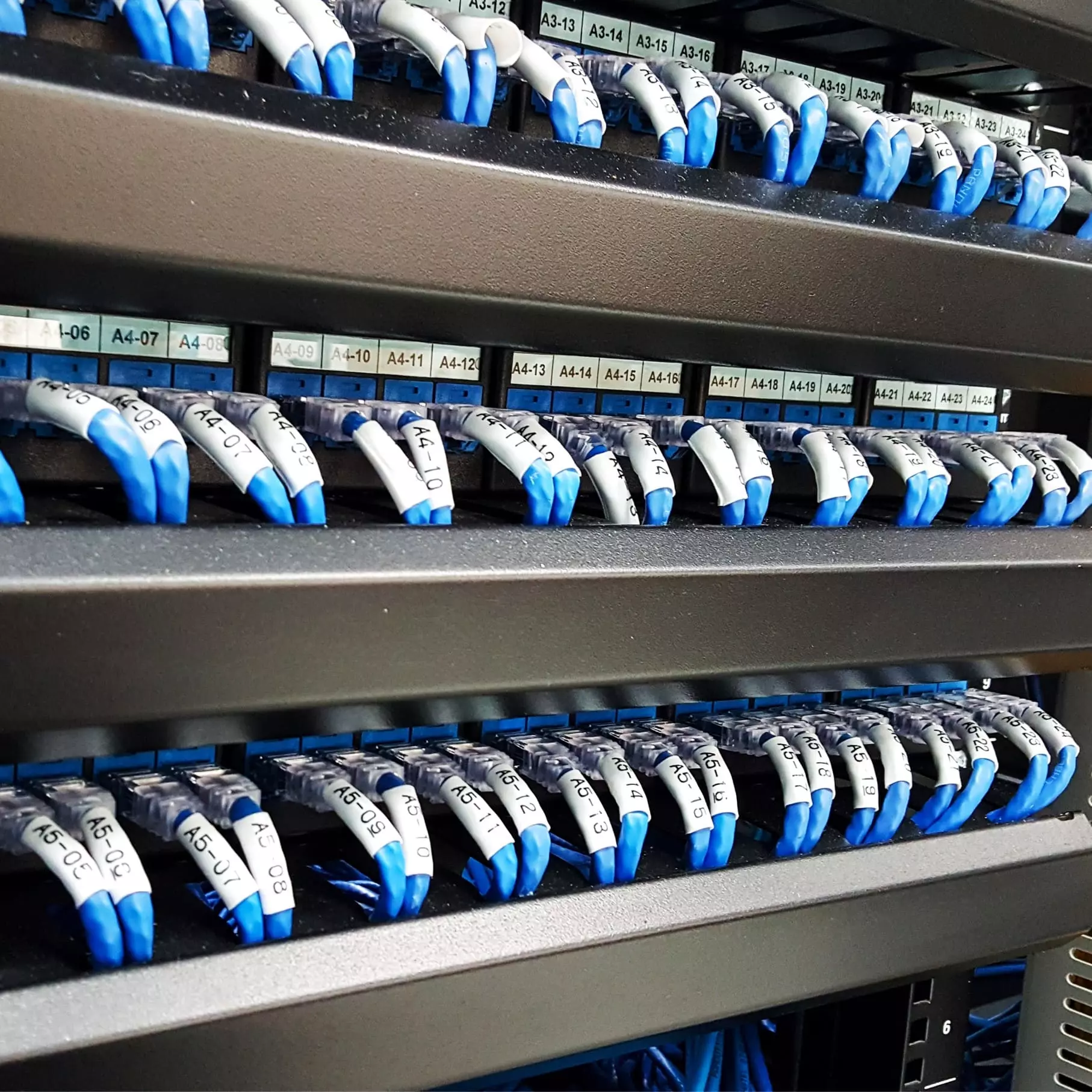 Patch panel etiquetado