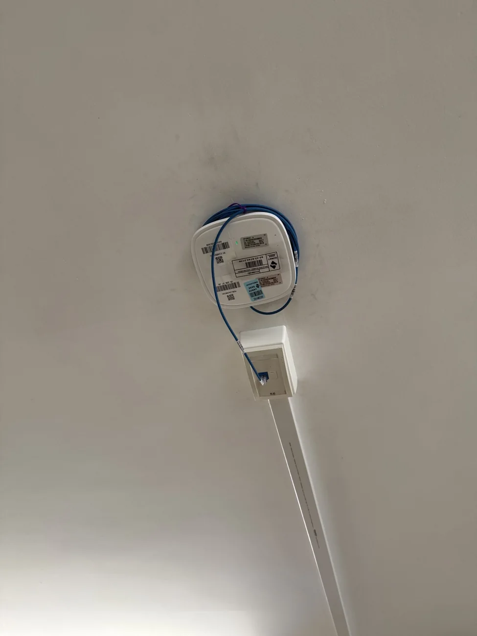 Punto de acceso Cisco instalado en el techo con canalización en proyecto SUNAT Cajamarca